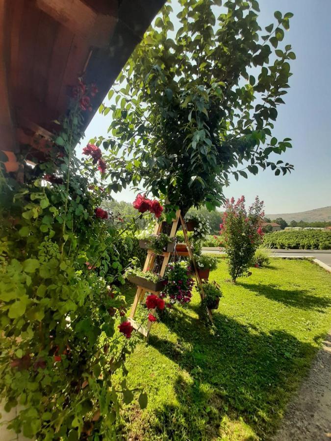 Rooms Mario Medugorje Bagian luar foto